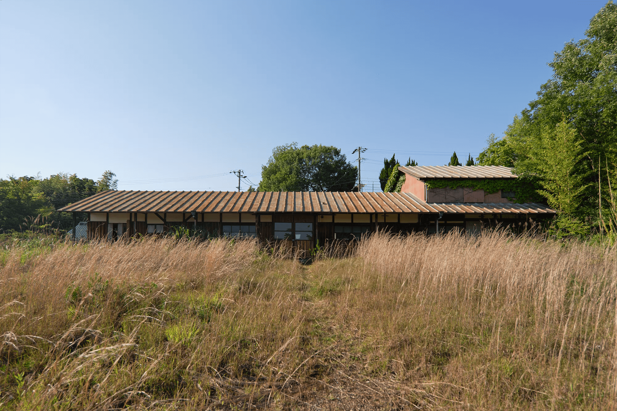 「土から生える」高田窯場跡
